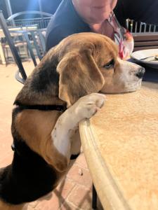 Gallery image of SetterHouseAgriHotel in Trevi +285 photos