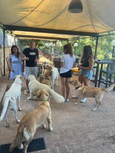 Gallery image of SetterHouseAgriHotel in Trevi