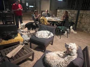 Gallery image of SetterHouseAgriHotel in Trevi