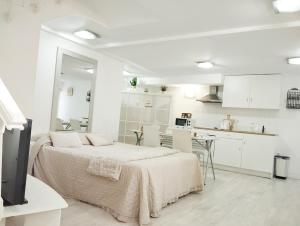 Η κουζίνα ή μικρή κουζίνα στο Cool basement studio in hosts house with private terrace and BBQ