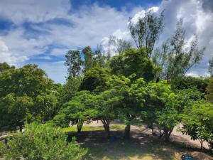 Un jardín fuera de Chambre chez l'habitant située à 200m de la plage 5 fotos más