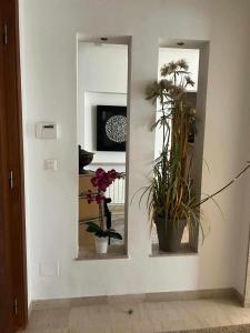 a room with two mirrors and potted plants at Maison in Berges Du Lac