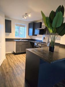 a kitchen with a counter with a potted plant on it at Luxury Family Retreat Near Alton Towers - Free Parking & Garden in Stoke on Trent +9 photos