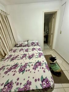 une chambre avec un lit et un chat assis par terre dans l'établissement Casa Charmosa Centro Balneário Camboriú, à Balneário Camboriú