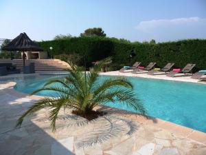 una palmera junto a una piscina con tumbonas en La Bastide Des Selves, en Draguignan