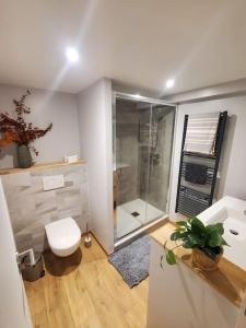 a bathroom with a toilet and a shower in it at Sur le chemin du Cens in Orvault