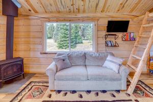 TV a/nebo společenská místnost v ubytování Mtn Views and Fireplace Cozy Trout Creek Tiny Home
