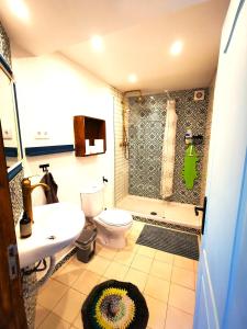 a bathroom with a shower and a toilet and a sink at O Ninho in Cepos +72 photos