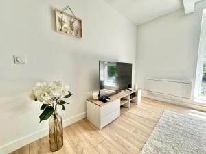 a living room with a tv and a vase with flowers at Le Renouveau, neuf et tout équipé in Limoges