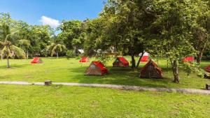 a group of tents in a field with trees at Camping Tequendama - Parque Tayrona in El Zaino