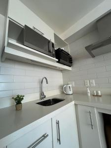 Kuchyň nebo kuchyňský kout v ubytování Hermoso monoambiente en Punta Carretas piso 11