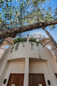 Rõdu või terrass majutusasutuses Rubi Tulum