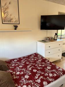 A television and/or entertainment centre at Pavillon Greve