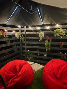 a tent with two red bean bags and plants at Borostyán Házikó in Őrbottyán