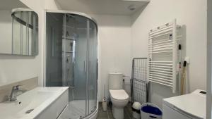 a bathroom with a shower and a toilet and a sink at Cocon lumineux proche de la ville fortifiée et de Nausicaa in Boulogne-sur-Mer +56 photos