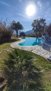 Costa dʼOnegliaにあるCasa Gelsominoのヤシの木がある庭のスイミングプール