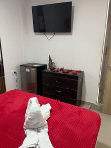 TV a/nebo společenská místnost v ubytování Hostel HA1