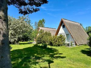Taman di luar Finnhütte Nr.42 auf Mönchgut