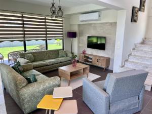 a living room with a couch and chairs and a tv at Göcek Villa Hayal in İnlice