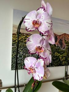 a group of pink flowers in front of a painting at Marconi Skyline in Bologna