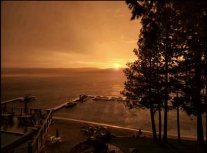 Gallery image of Ruby in McCall