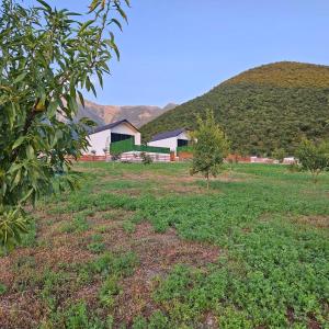 Gallery image of ModernVillageSheki House in Vǝrǝzǝt