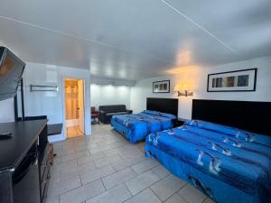 TV a/nebo společenská místnost v ubytování Skyview Manor Motel