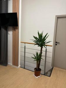 TV a/nebo společenská místnost v ubytování Ubuntu House - Charleroi
