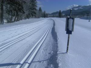 Hotel Berghof during the winter