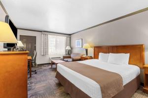 Llit o llits en una habitació de Best Western Apache Junction Inn