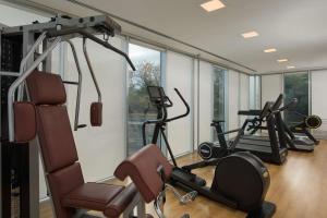Fitness centrum a/nebo fitness zařízení v ubytování NH Orio Al Serio