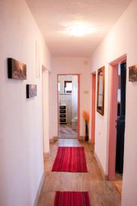 a hallway with a red rug on the floor at Secluded apartments Srb, Zagora - 22245 in Srb