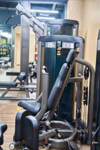 Fitness centrum a/nebo fitness zařízení v ubytování Somerset Star River Minhang Shanghai