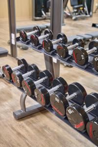 Fitness centrum a/nebo fitness zařízení v ubytování Somerset Star River Minhang Shanghai
