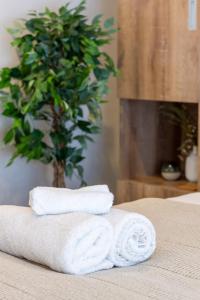 Gambar di galeri bagi Charming Studio for 2 in the Central City di Christchurch
