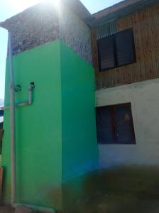 a green wall on the side of a building at River view homestay in Kanzalwan