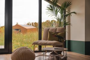 a chair and a potted plant in a room with a window at Waterlinie Lodges in Utrecht
