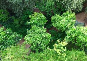 Taman di luar Atlas Mountains Retreat