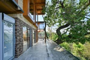 a house with glass doors and a tree on a walkway at Vila Ivka Holiday Resort in Donja Poljana