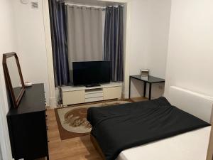 a living room with a bed and a flat screen tv at New flat, own bathroom, sitting room & large bedroom - Walsall in Bescot