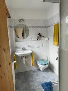 a bathroom with a sink and a toilet at Waldheim Laax Pension in Laax +40 photos