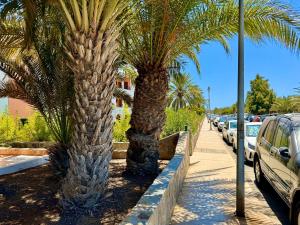 Playa del AguilaにあるGRAN CANARIA Casa Magboss IV i V by Jacek Budekの通り側のヤシの木 +9枚の写真