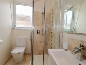 a bathroom with a shower and a toilet and a sink at Regents Deck in Teignmouth +15 photos