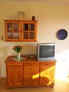 un televisor sentado en la parte superior de un tocador de madera en "Höper Mittelhof" Ferienhaus Nr 1, en Lemkendorf