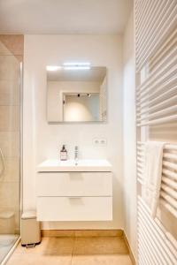 オーステンデにあるSunny Seaview Sanctuary in Ostend w Parkingの洗面台と鏡のある白いバスルーム +13枚の写真