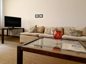 Μια τηλεόραση ή/και κέντρο ψυχαγωγίας στο Ferienbutzen Harz in Sieber