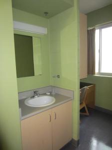 a bathroom with a sink and a mirror at Hotel Laurier - King Street Residence in Waterloo