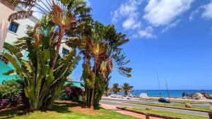 a street with palm trees in front of a building at Casa La Ola Majanicho - Monthly Stays in Majanicho