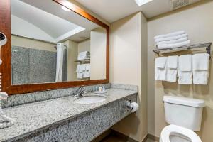 Koupelna v ubytování Comfort Inn & Suites