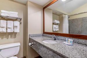 Koupelna v ubytování Comfort Inn & Suites